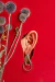 Aros Gota Alpaca - comprar online