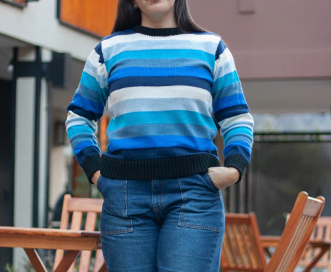 Sweater Paleta Edición Limitada en internet