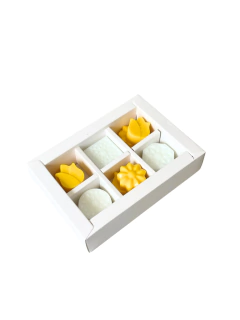 Figuras Aromáticas - Vainilla Pomelo 80gr para pebetero - comprar online