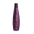 Shampoo No Frizz System Aneethun 300ml defrizante