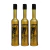 3 Shampoo Blindagem dos fios Blotoxi Coiffer 300ml kit com 3 - comprar online