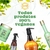 Kit Boneca De Luxo Coiffer Sem Sal 2 passos anti oliosidade - loja online