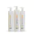 Kit perfect liss escova inteligente progressiva 3x1.000 ml