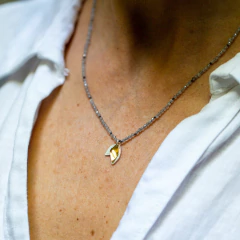 Collar Dos Hojas con Oro