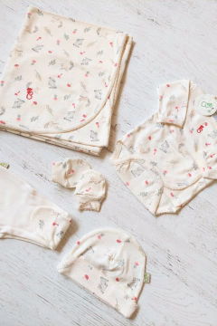 Imagen de AJUAR 5 PIEZAS HABÍA UNA VEZ NATURAL: MANTA, BODY, RANITA, GORRO Y MITONES (BROSET5P2-EY)