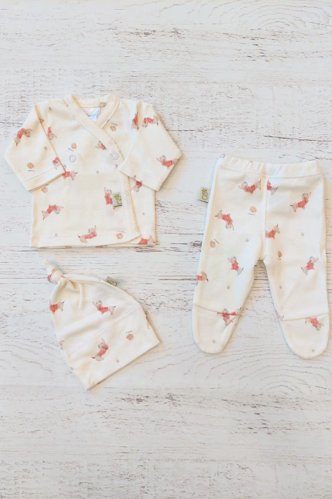 SET X3 ARTE NATURAL PREMATURO: BATITA, RANITA Y GORRO - BROTECITOS (BRO215-FK)