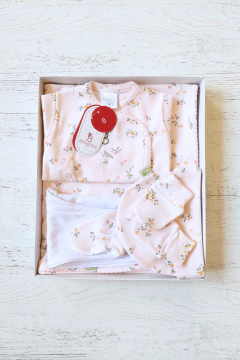 AJUAR 5 PIEZAS PRADERA: MANTA, BODY, RANITA, GORRO Y MITONES (BROSET5P2-GQ) en internet