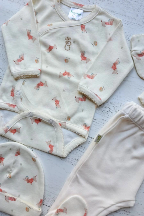 AJUAR 4 PIEZAS ARTE NATURAL: BODY, RANITA, GORRO Y MITONES (BROSETB-FK)