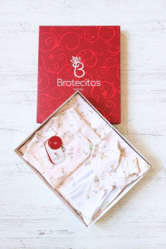 AJUAR 5 PIEZAS PRADERA: MANTA, BODY, RANITA, GORRO Y MITONES (BROSET5P2-GQ) - comprar online