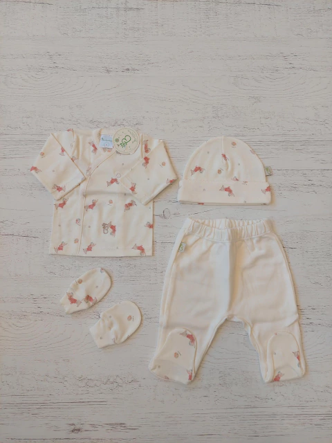 AJUAR 4 PIEZAS ARTE NATURAL: BATITA, RANITA, GORRO Y MITONES (BROSETA-FK)