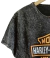 Remera Nevada PLUS MOTOR - L en internet