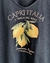 Remera V PREMIUM CAPRI ( 4 talles) - comprar online