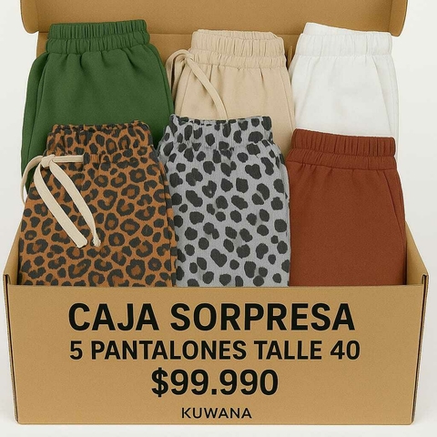 CAJA SORPRESA - 5 PANTALONES HASTA TALLE 40 - SIN ELECCION - comprar online