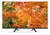 Led Noblex 32" Smart TV DB32X3000