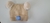 GORRO 18064 en internet
