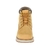 FOUNDER maiz - tienda online