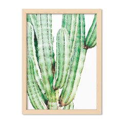 Cuadro Cactus Watercolor