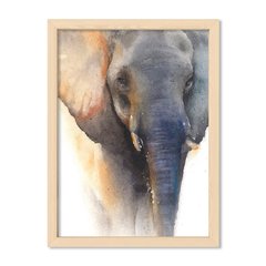 Cuadro Elephant Watercolor