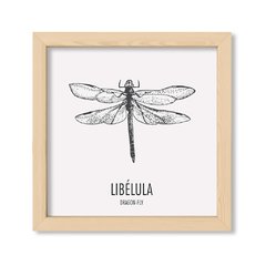 Cuadro Libelula