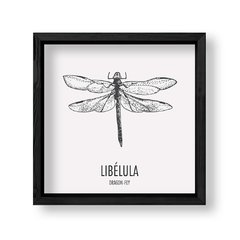 Imagen de Cuadro Libelula