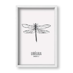 Cuadro Libelula - tienda online