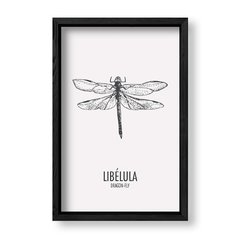 Imagen de Cuadro Libelula
