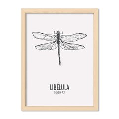 Cuadro Libelula