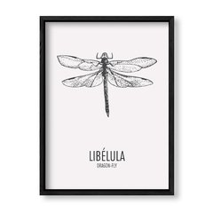 Imagen de Cuadro Libelula