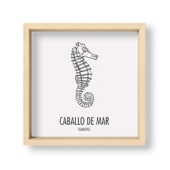 Cuadro Caballo de mar - El Nido - Tienda de Objetos