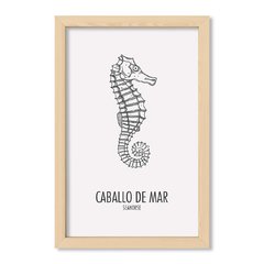 Cuadro Caballo de mar