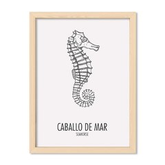 Cuadro Caballo de mar