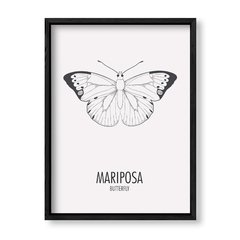 Imagen de Cuadro Mariposa