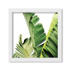 Cuadro Botanic - comprar online