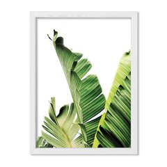 Cuadro Botanic - comprar online
