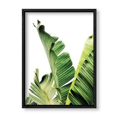 Imagen de Cuadro Botanic