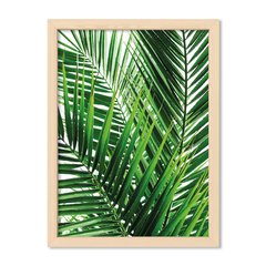 Cuadro Botanic leaves