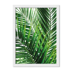 Cuadro Botanic leaves - comprar online