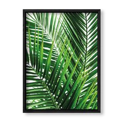 Imagen de Cuadro Botanic leaves