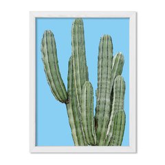 Cuadro Cactus en colores - comprar online
