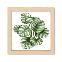 Cuadro White Botanic 4