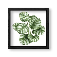 Imagen de Cuadro White Botanic 4