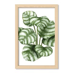 Cuadro White Botanic 4