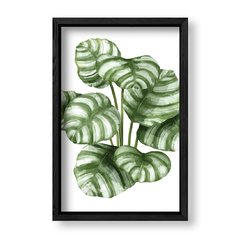 Imagen de Cuadro White Botanic 4