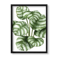 Imagen de Cuadro White Botanic 4