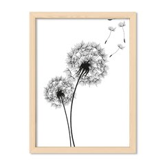 Cuadro Dandelion