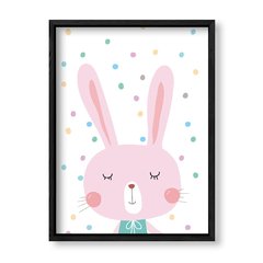 Imagen de Cuadro Color Rabbit