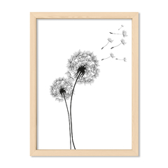 Cuadro Dandelion start