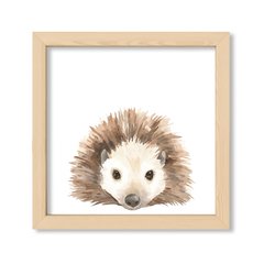 Cuadro Kid Porcuspine