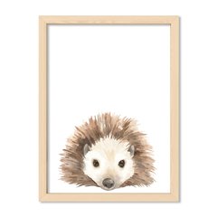 Cuadro Kid Porcuspine