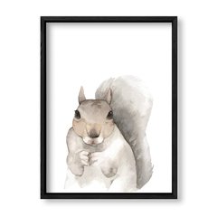 Imagen de Cuadro Kid Squirrel